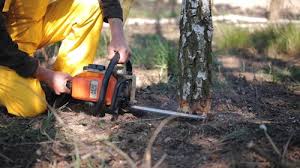 Best Aeration Services  in Monrovia, MD